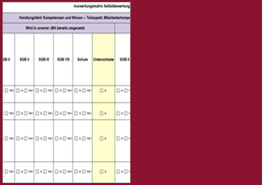 Ausschnitt der Auswertungsmatrix