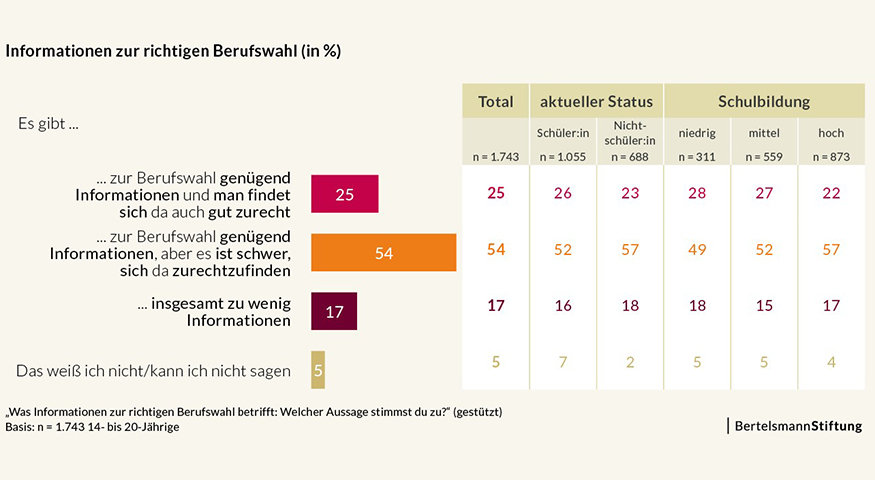 Angebotsflle der Informationen zur Berufswahl