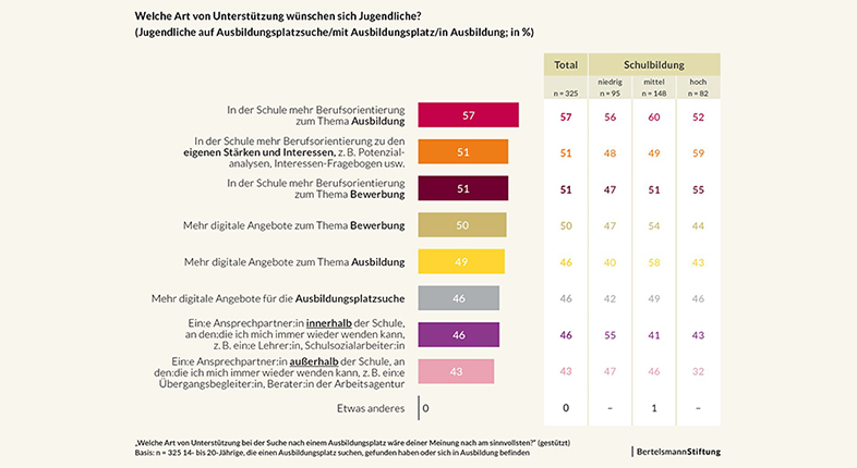 Infografik zur gewnschten Art der Untersttzung bei der Ausbildungsplatzsuche